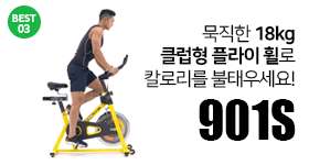 901S 스핀바이크